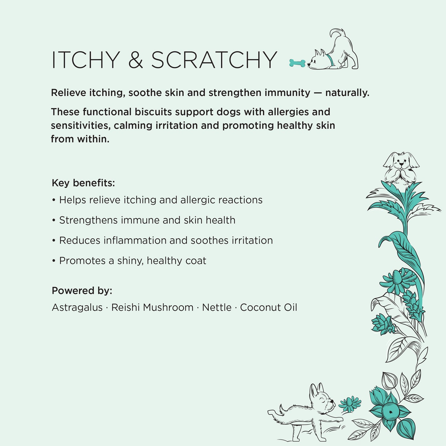 The Allergy Bundle – Save 20%
