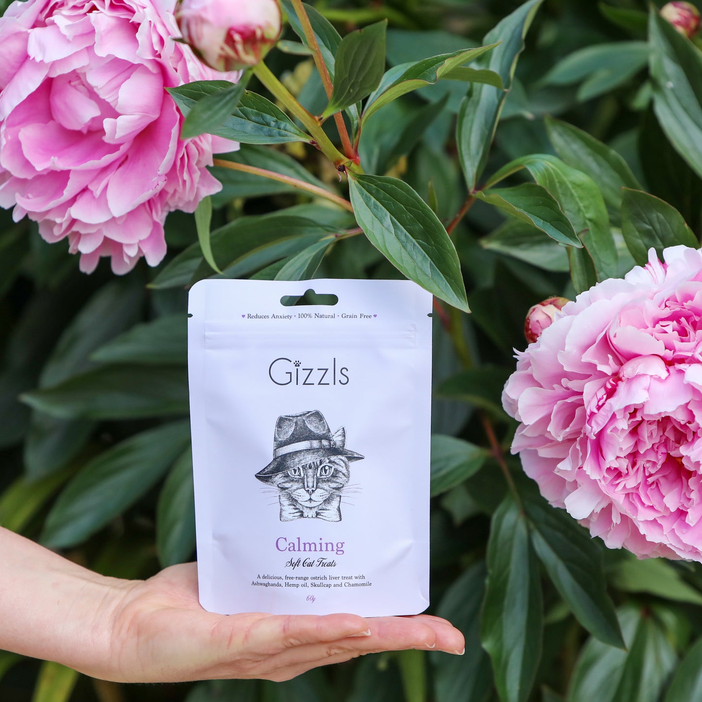 Gizzls Calming Soft Hemp Cat Treats