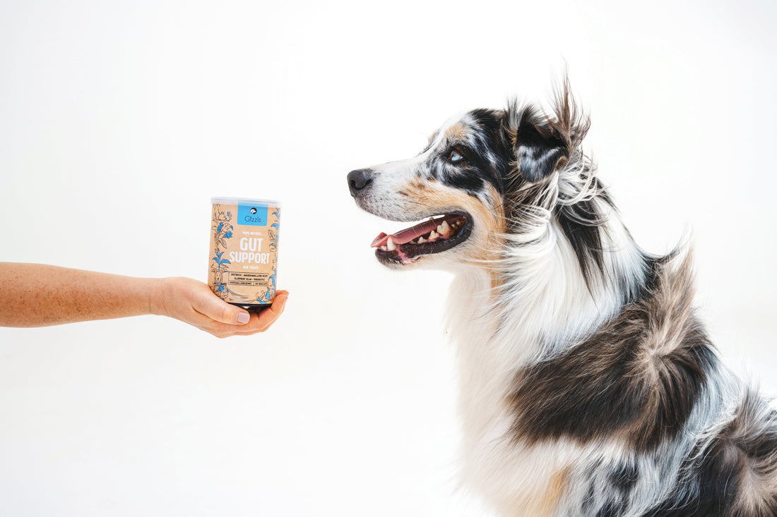 Functional treats vs. Supplements. What's the difference?