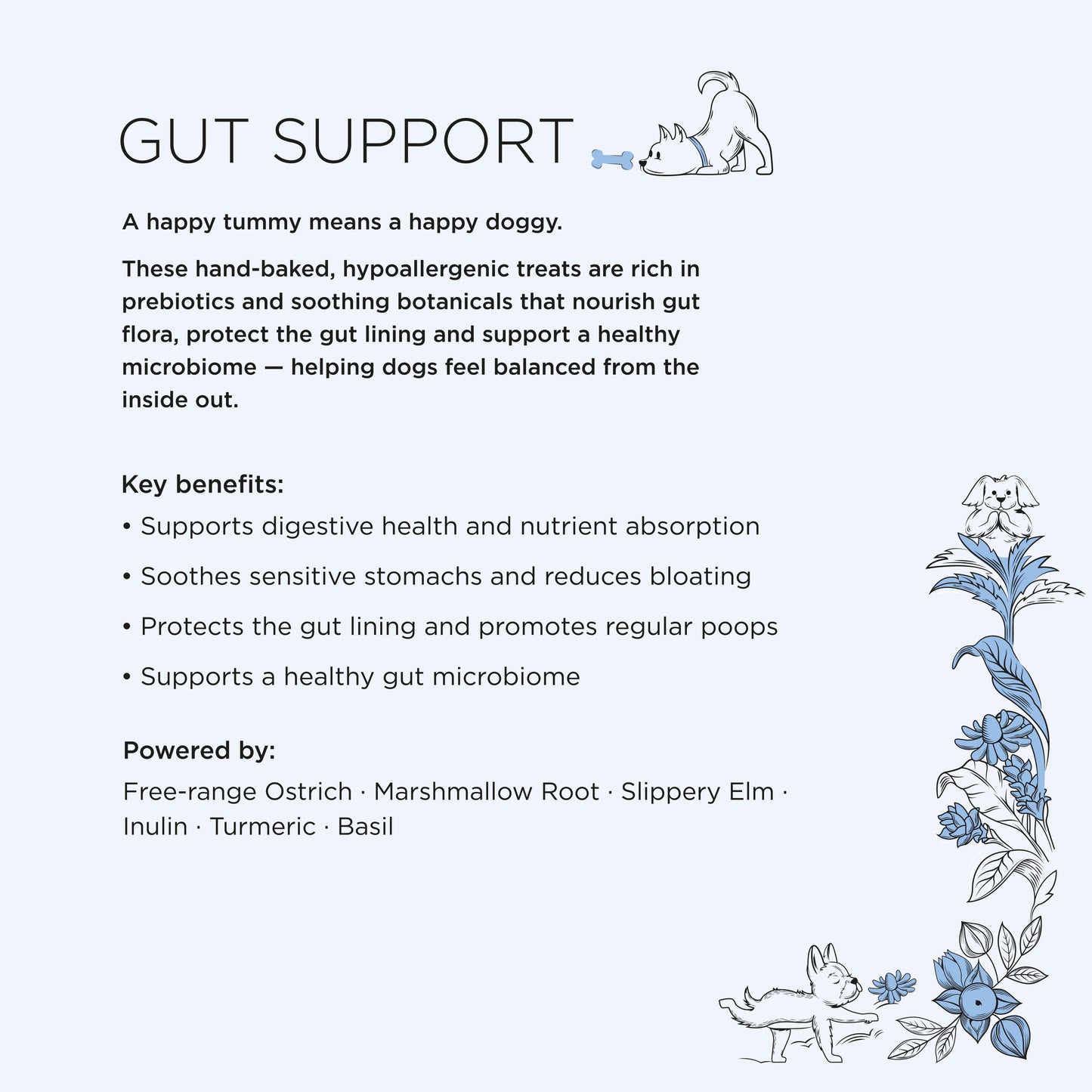 The Allergy Bundle – Save 20%