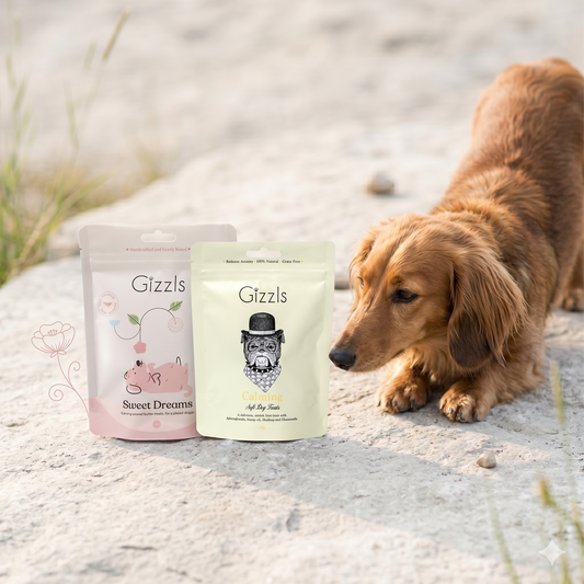 Calming Treat Bundle for Small Dogs – Save 20%