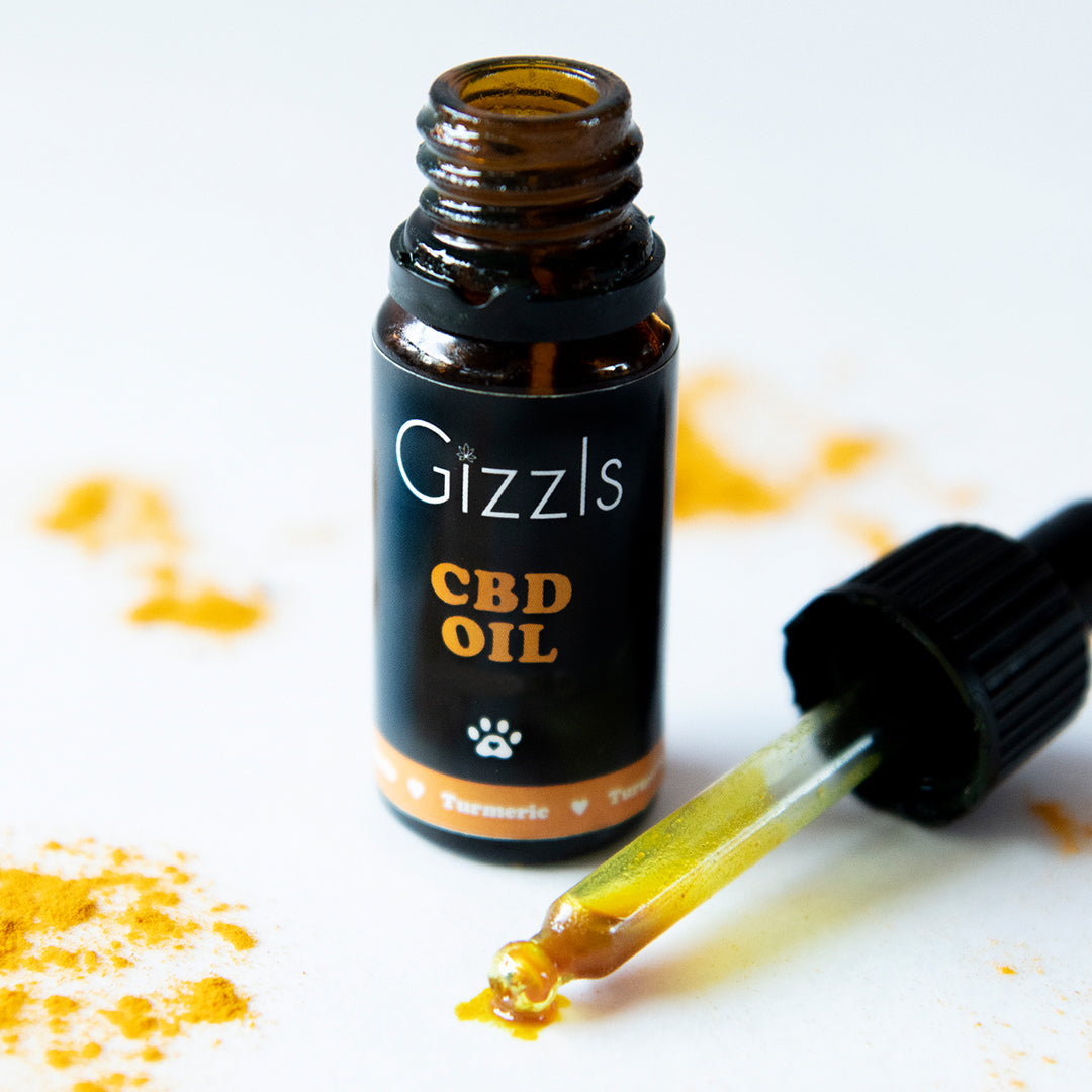 CBD Oil with Turmeric | Gizzls – Gizzls for Pets