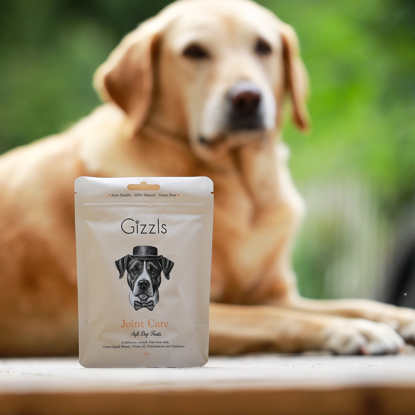 Gizzls Joint Care Soft Hemp Dog Treats
