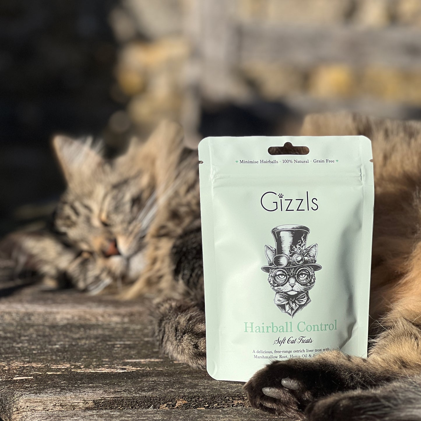 Hairball Control Soft Cat Treats