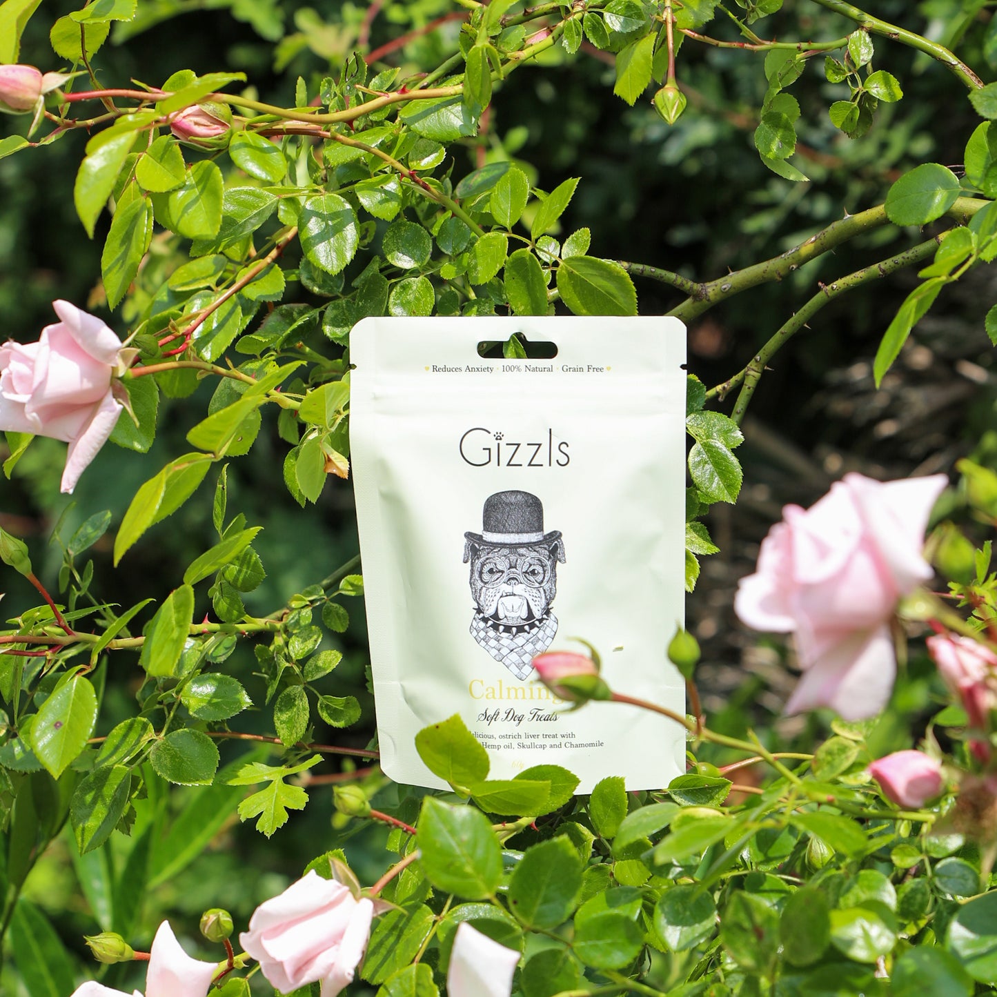 Calming Soft Hemp Dog Treats