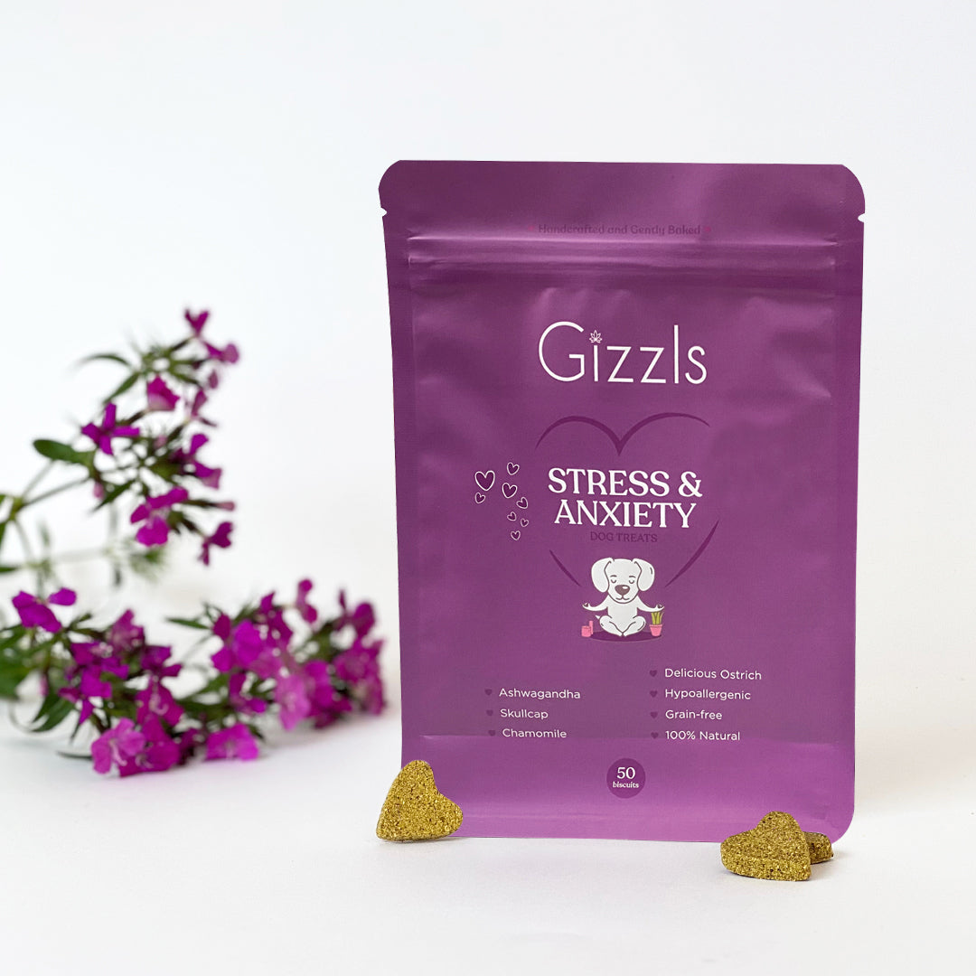 Stress & Anxiety Dog Treats (for medium/large dogs)