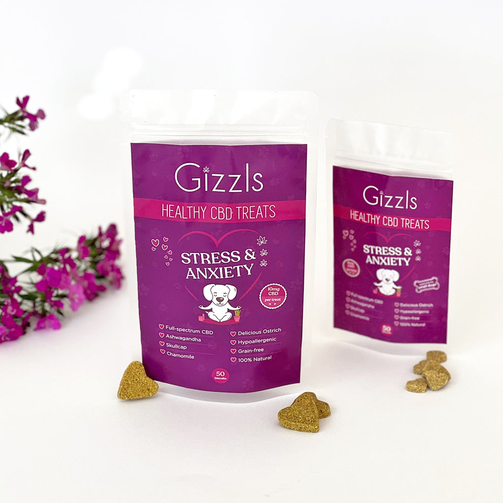 Phytosterol Dog Treats For Holographic Stress In Dogs