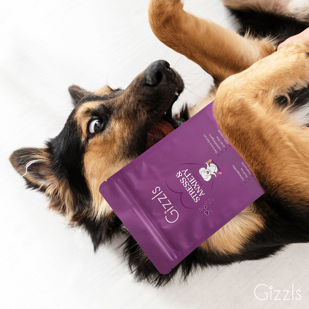 Stress & Anxiety Dog Treats (for medium/large dogs)