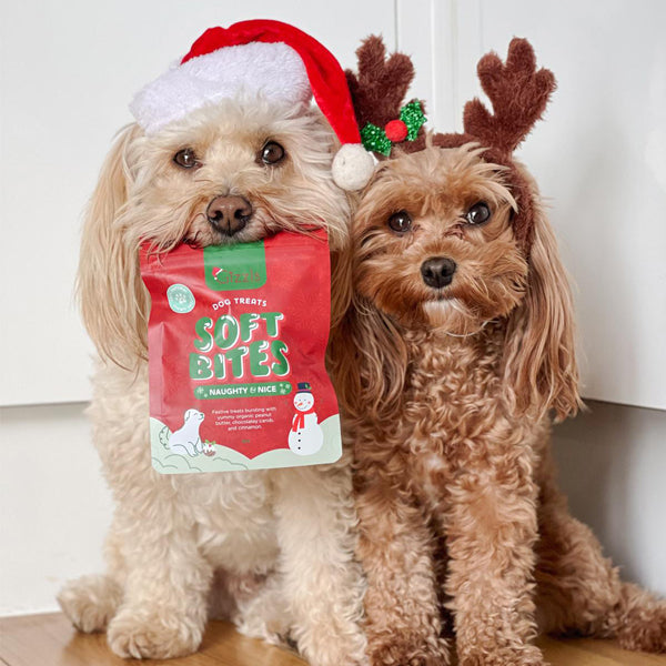 Gizzls Naughty & Nice Christmas Soft Dog Treats