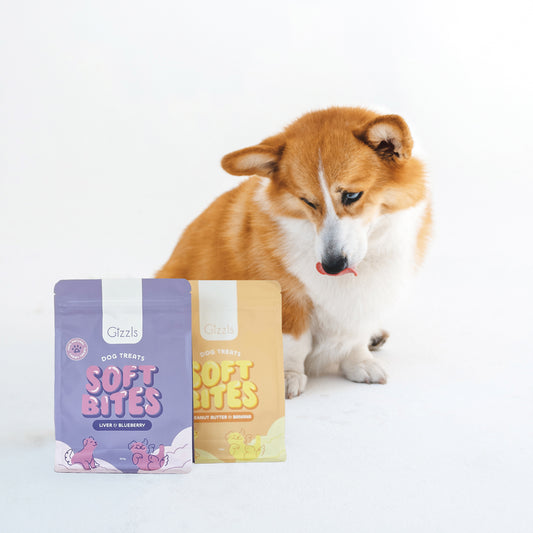 Soft Bites Treat Bundle (300g) – Save 20%