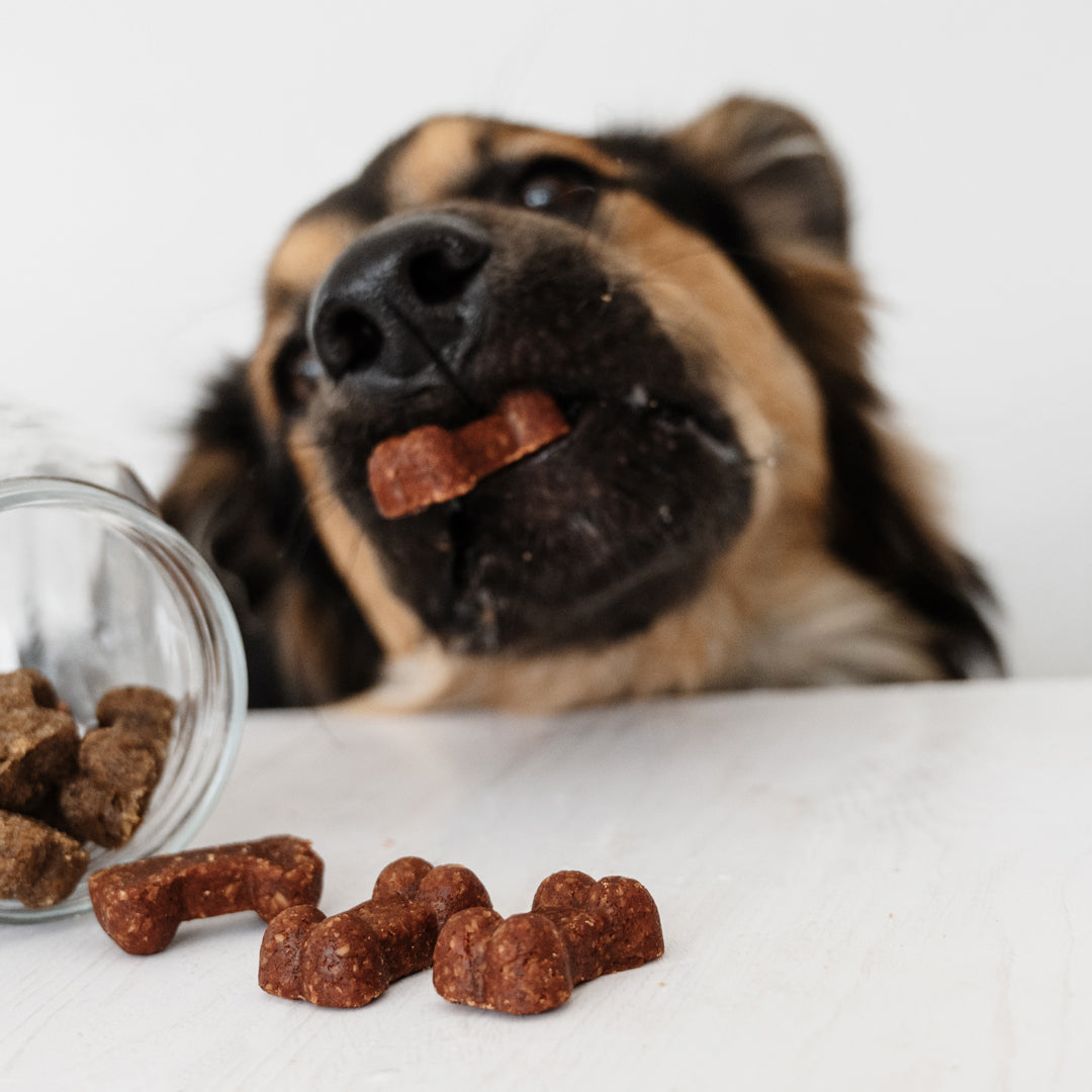 Soft Bites Treat Bundle (300g) – Save 20%